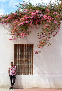 Full length of woman standing by pink flowering tree