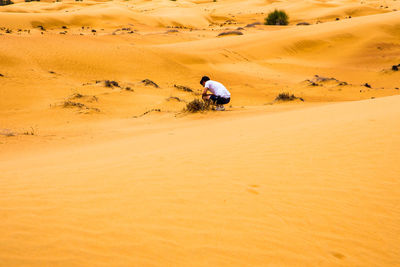 Rear view of man riding motorcycle in desert