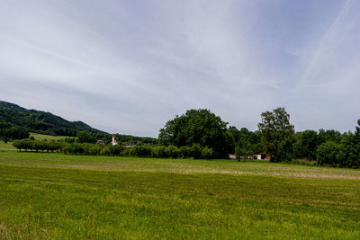 Scenic view of field against sky