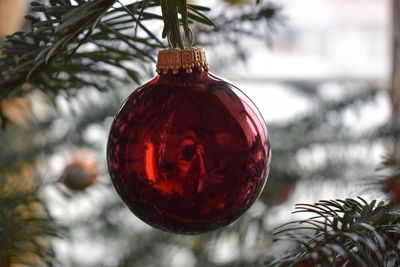 Close-up of christmas decoration hanging on tree