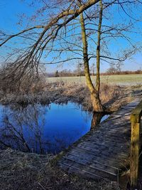 Reflection of bare tree in lake against clear sky