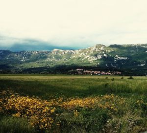 Scenic view of grassy field by mountains against sky