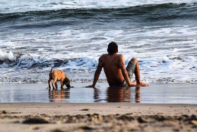 Rear view of men on beach