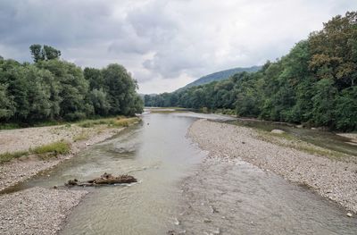 Scenic view of river amidst trees against sky