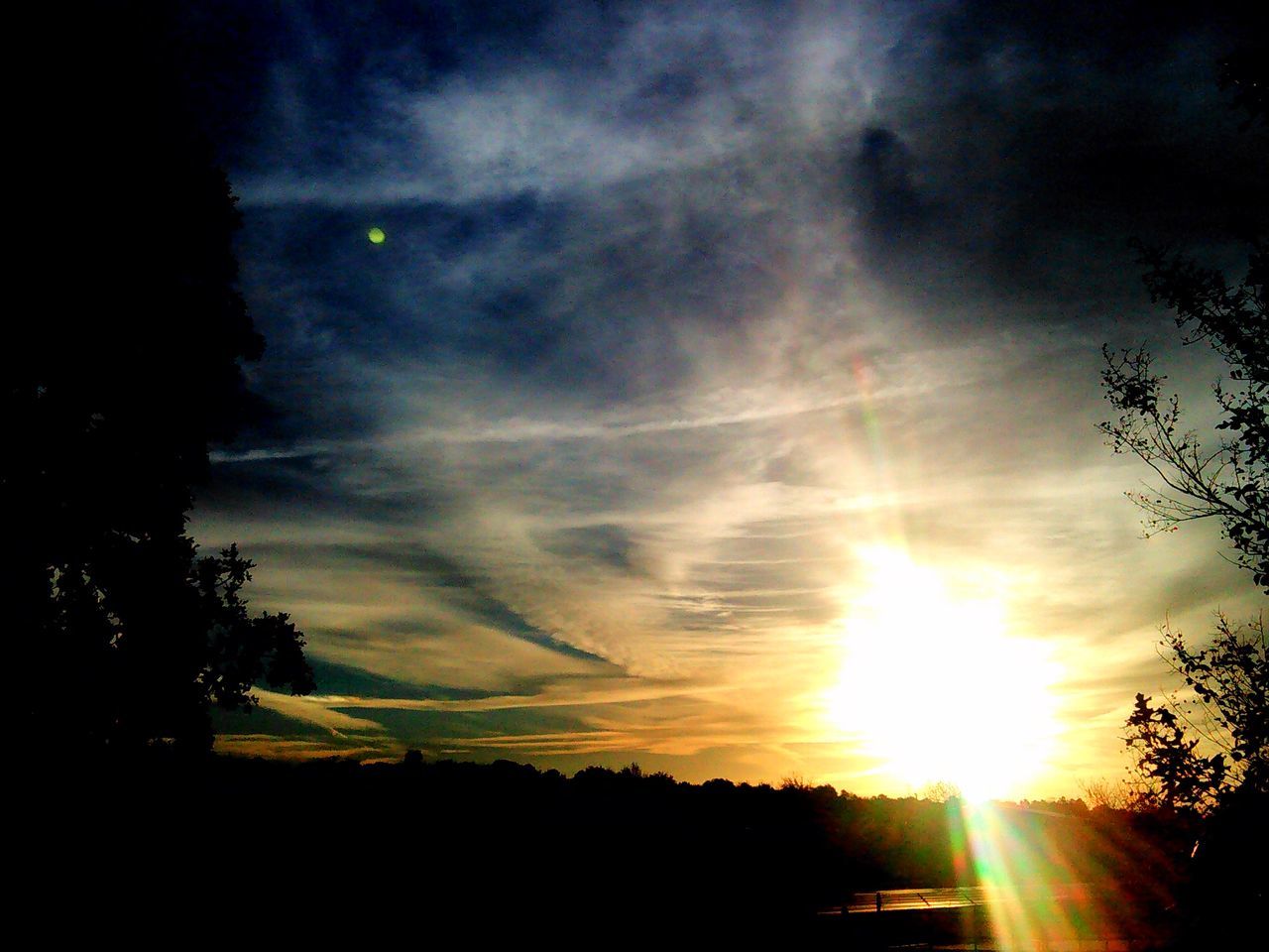 SILHOUETTE TREES AGAINST SUNSET SKY