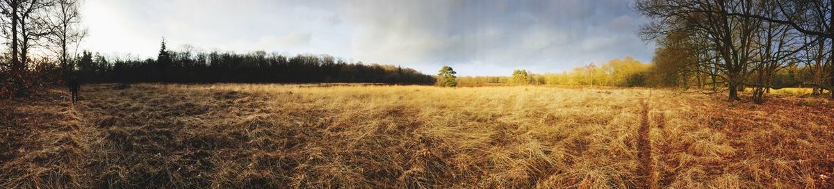 Panoramic view of field against sky