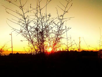 Silhouette trees against sky during sunset