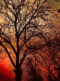 Low angle view of silhouette bare trees in forest