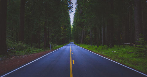 Empty road amidst trees in forest