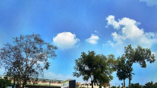 Low angle view of trees and buildings against blue sky