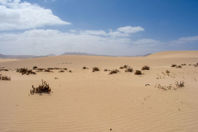 Scenic view of desert against sky