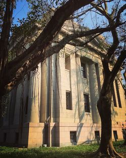 Building with trees in background