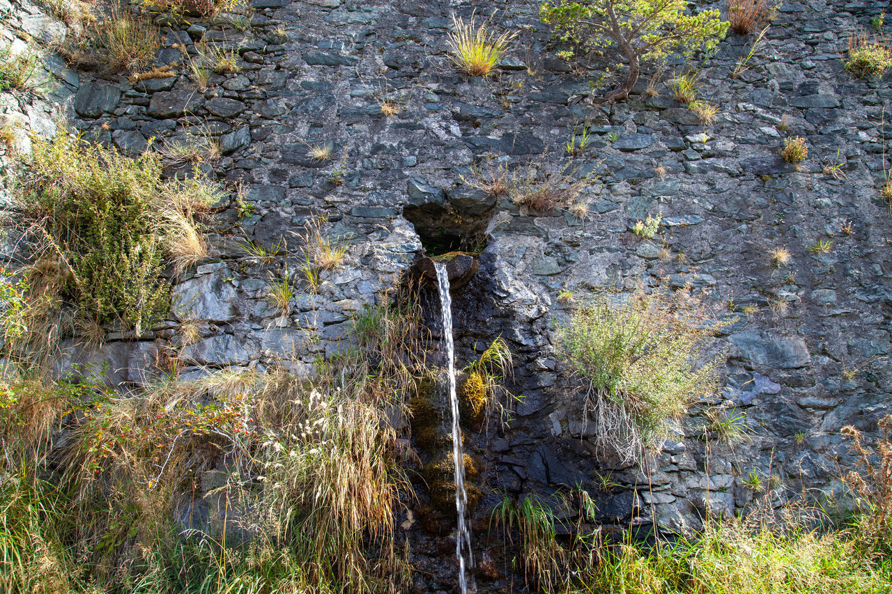 HIGH ANGLE VIEW OF WATER FLOWING OVER ROCKS IN FOREST