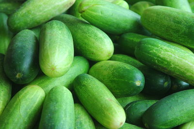 Full frame shot of cucumber for sale at market stall