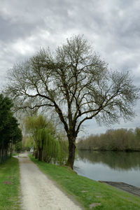 Bare trees by lake against cloudy sky