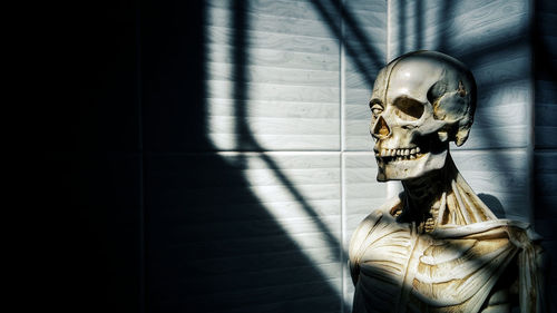 Close-up of human skeleton in dark room 