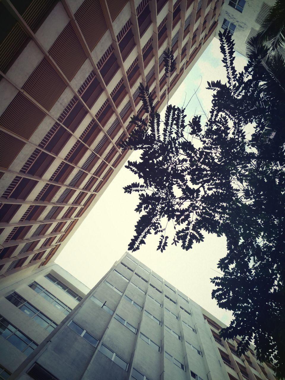 LOW ANGLE VIEW OF MODERN BUILDINGS AGAINST SKY