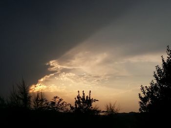 Silhouette trees against sky during sunset