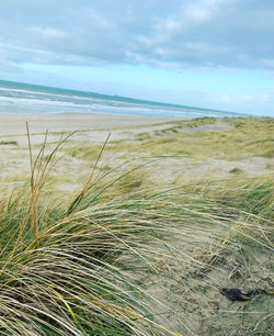 Scenic view of beach against sky