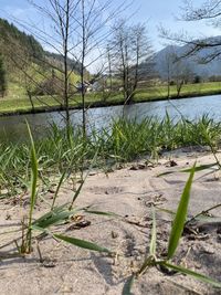 Scenic view of lake by trees against sky