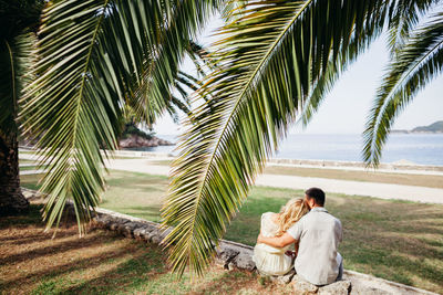 Couple sitting on palm tree