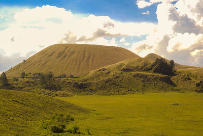 Scenic view of the savannah