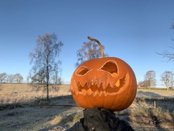 View of pumpkin on field against sky
