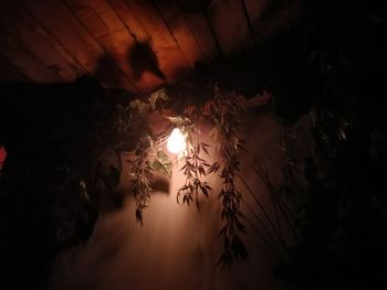 darkness