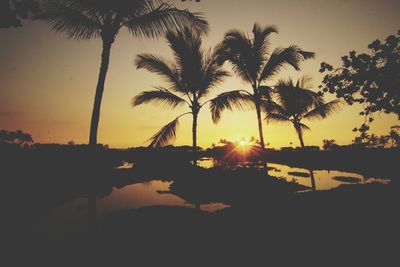 Silhouette palm trees on beach against sky during sunset