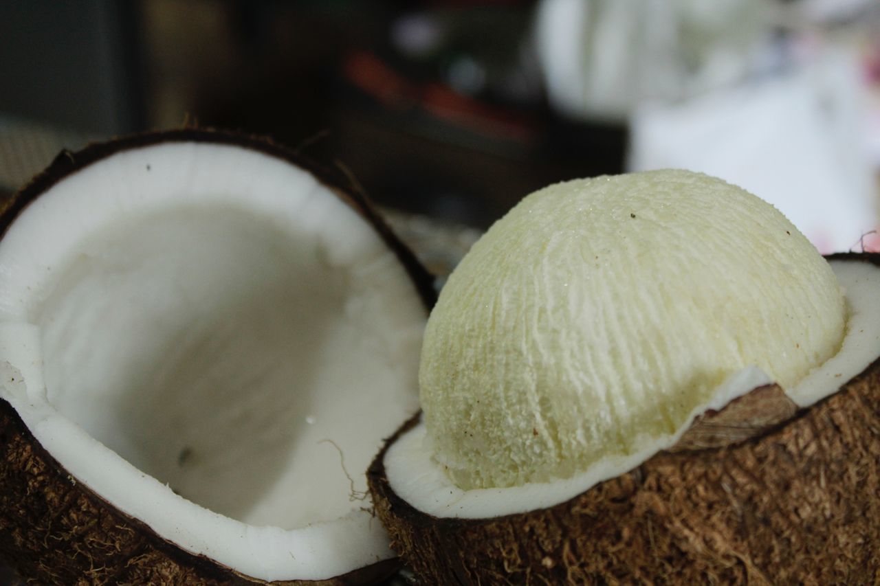 CLOSE-UP OF WHITE MUSHROOM