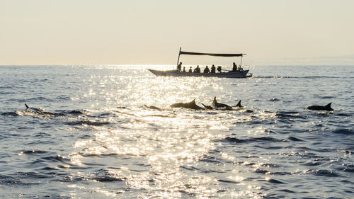 Silhouettes of a sailboat and a group of dolphins in sea against clear sky