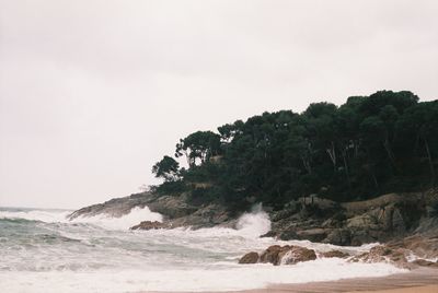 Scenic view of beach against clear sky