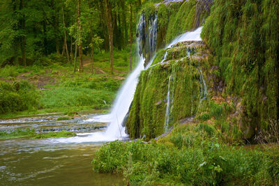 Scenic view of waterfall in forest