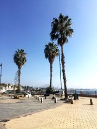 Palm trees by street against clear sky