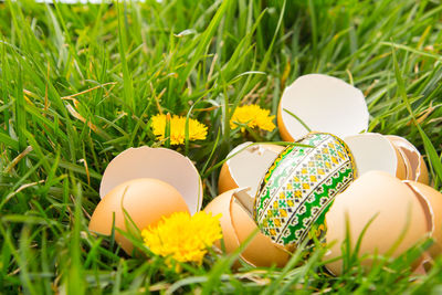 Close-up of eggs on grassy field