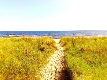 horizon over water