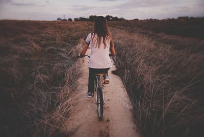 Rear view of girl cycling amidst plant during sunset