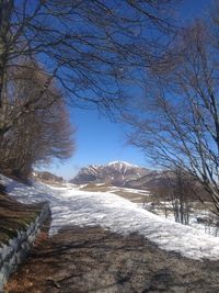 Bare trees on snow covered land against sky