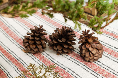 High angle view of pine cone on table