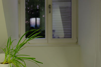 Close-up of window of building