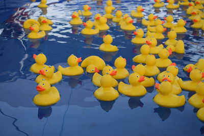 Yellow floating on water in lake