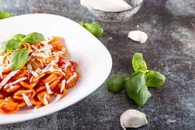 Orecchiette with fresh tomato sauce and basil. typical dish of italian cuisine. vegetarian food.