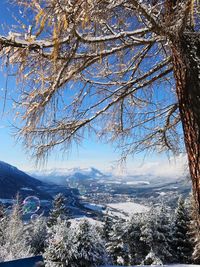 Scenic view of tree mountains against sky during winter
