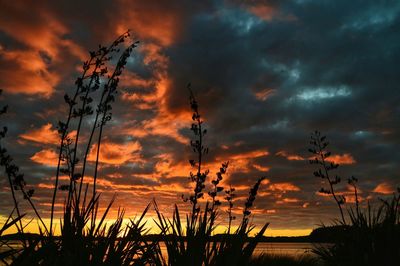 Scenic view of landscape against cloudy sky