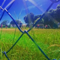 View of grassy field