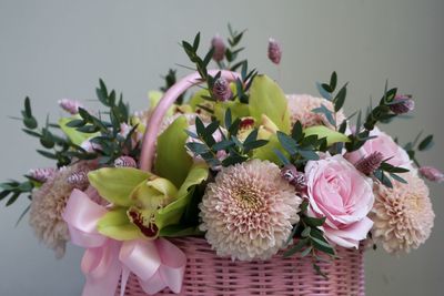 Close-up of pink flowering plant in basket