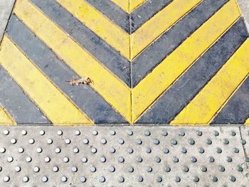 High angle view of yellow zebra crossing