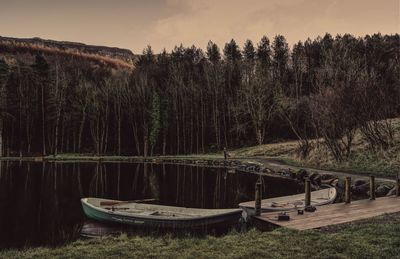 Scenic view of lake in forest