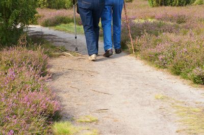 Low section of senior couple walking on footpath at park