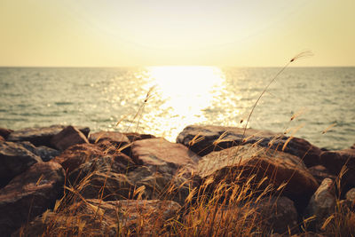 Scenic view of sea against clear sky during sunset